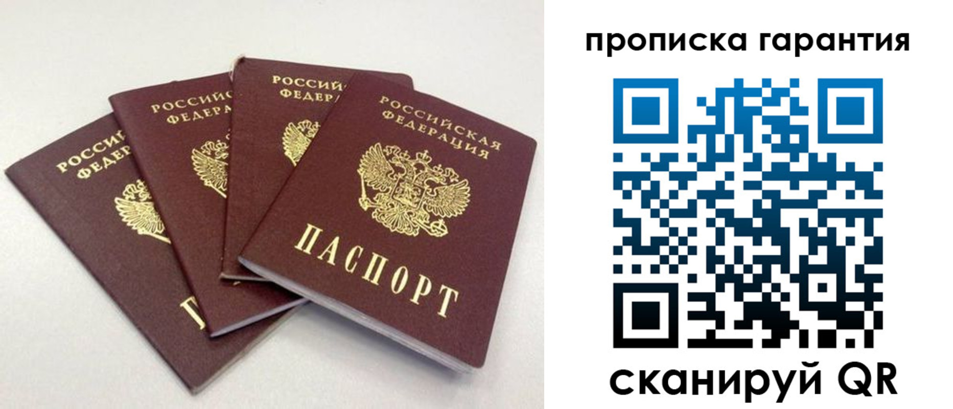 прописка в Каргополе